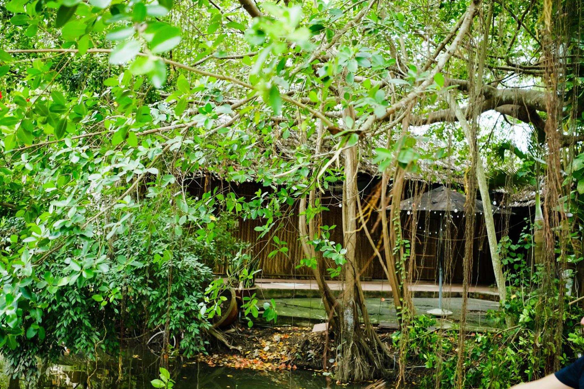 Dan Sinh Homestay Can Tho Luaran gambar